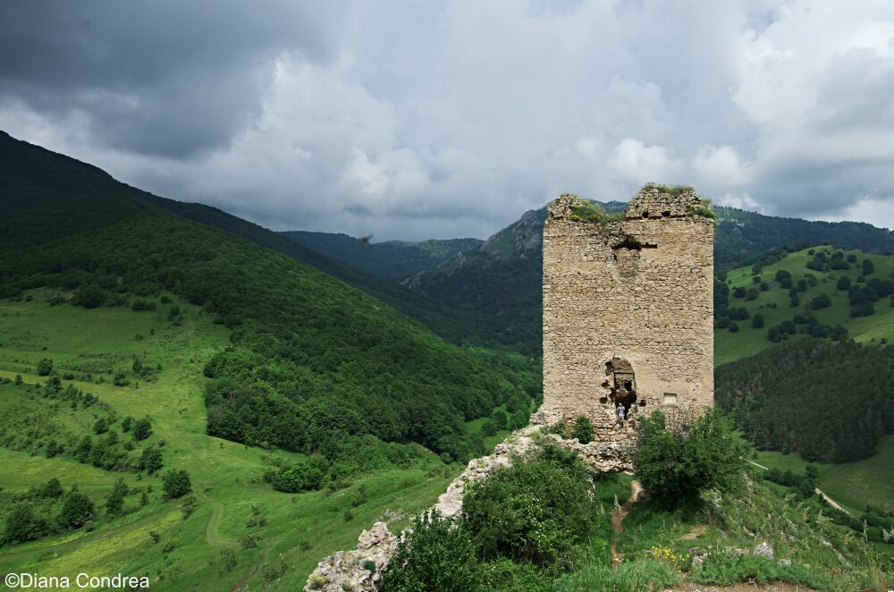Coltesti Fortress