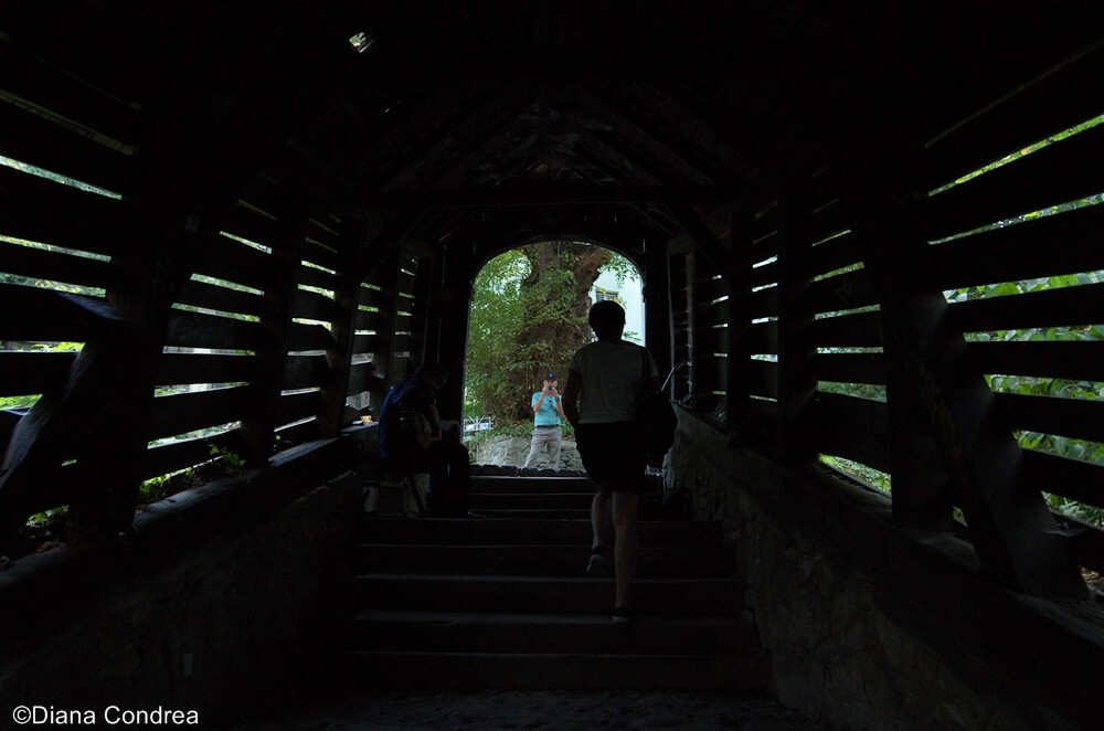 sighisoara scholars stairs