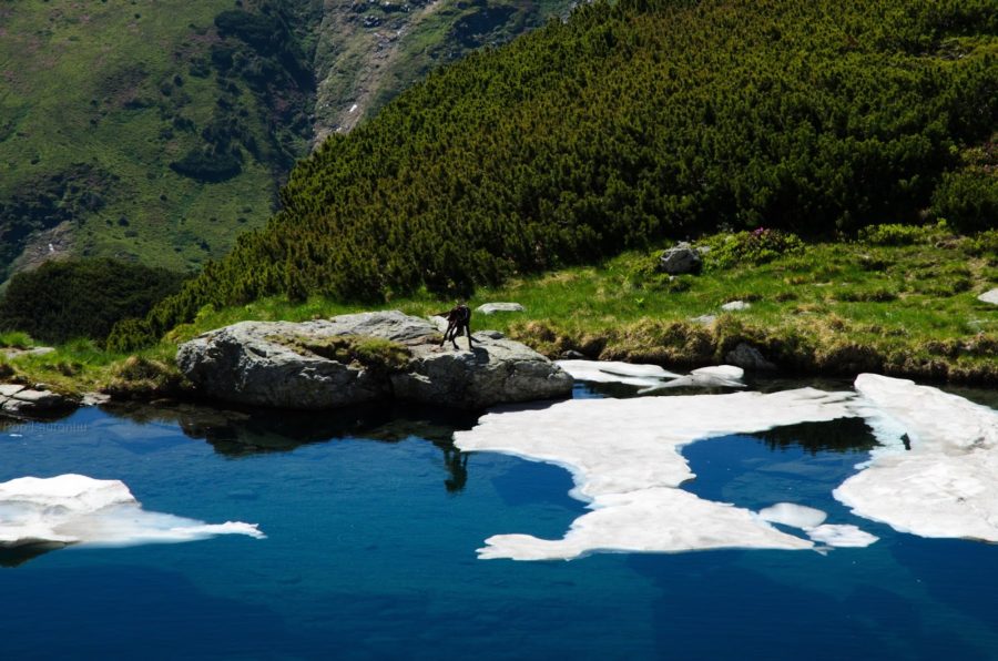 Rodnei Mountains National Park