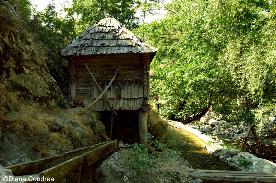 Watermills from Eftimie Murgu