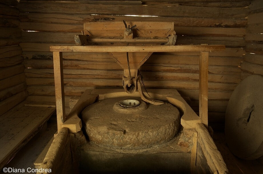 Watermills from Eftimie Murgu