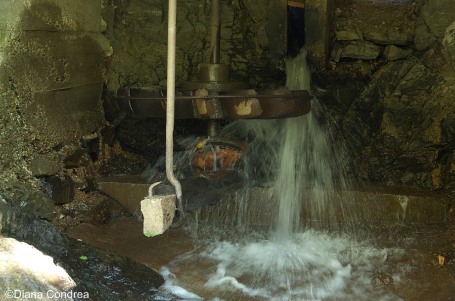 Watermills from Eftimie Murgu