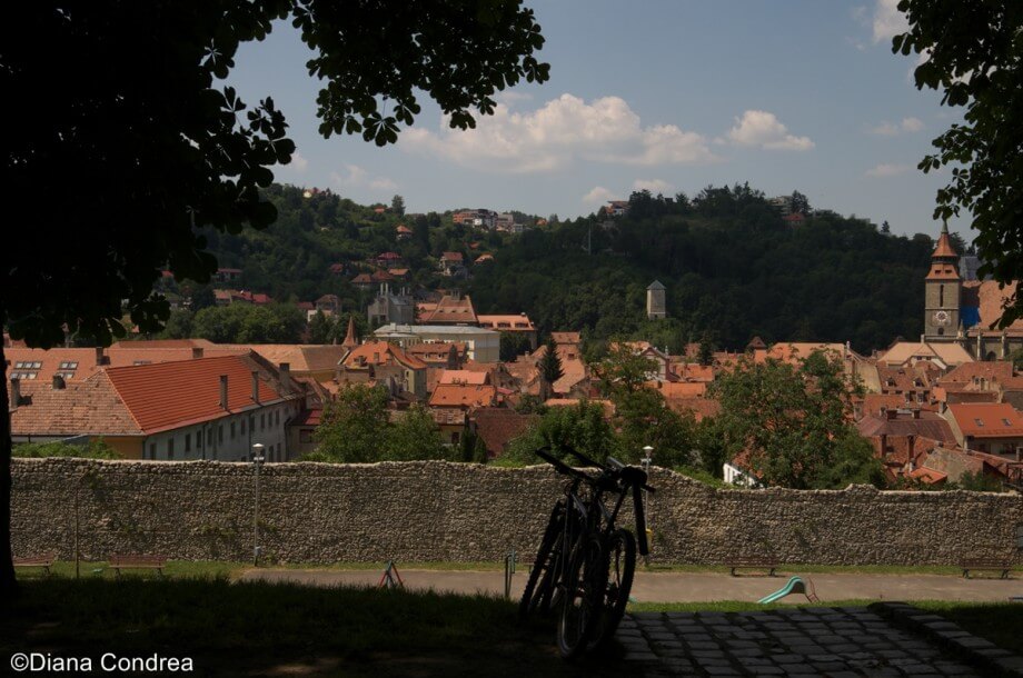 Best things to do in Brasov