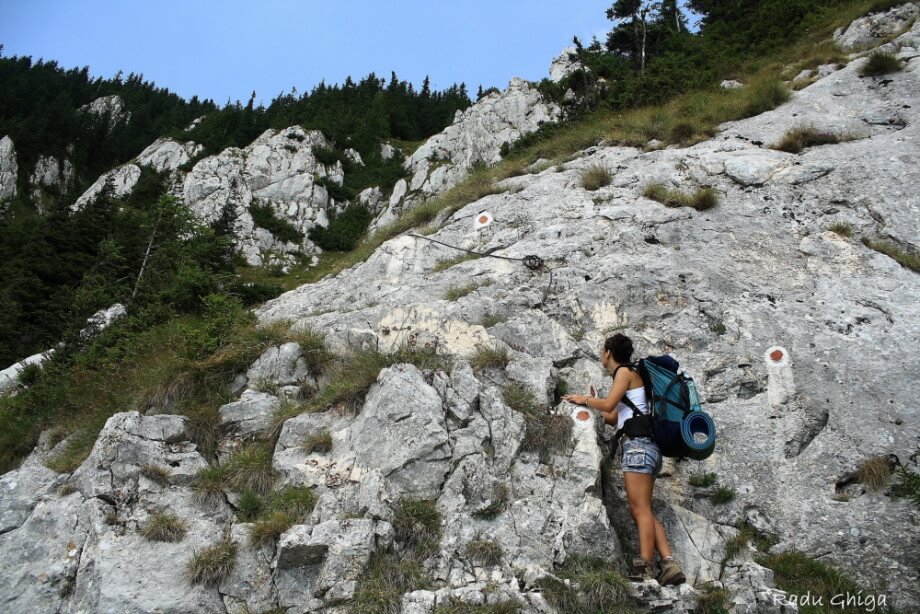 Piatra-Craiului-National-Park