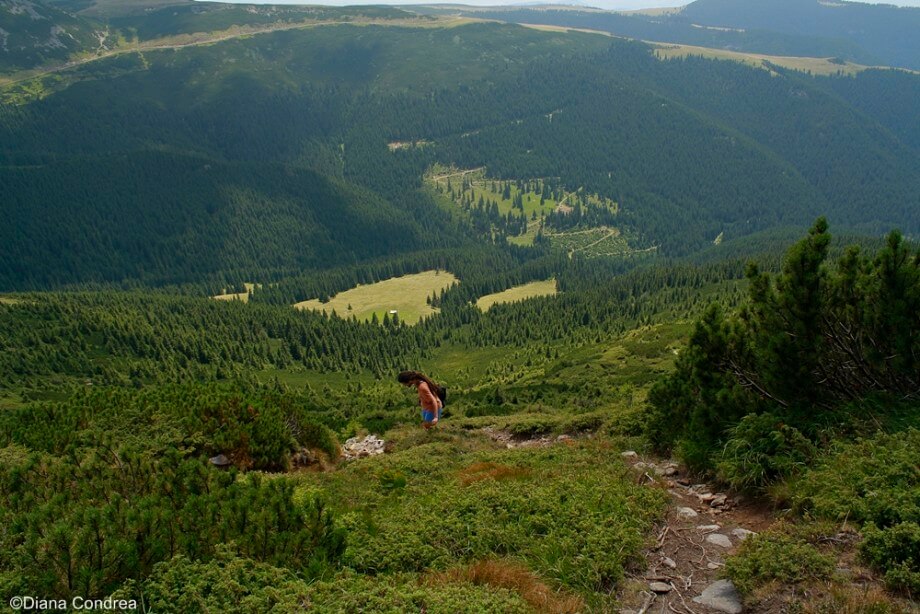 calimani mountains