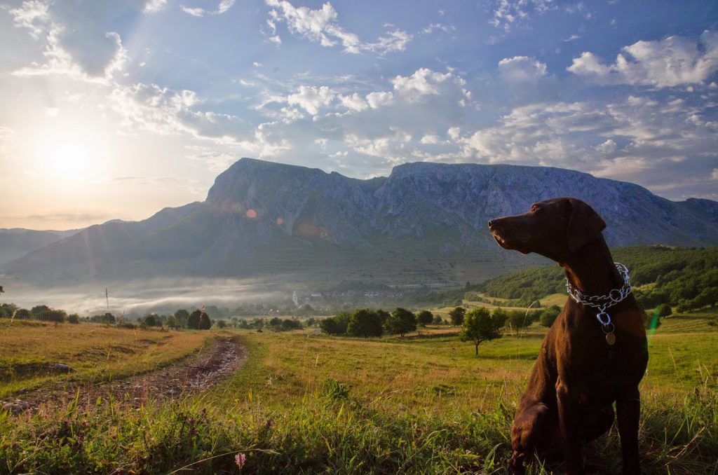Piatra-Secuiului