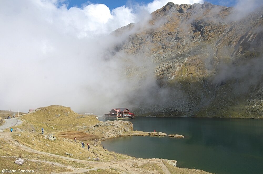 Transfagarasan 