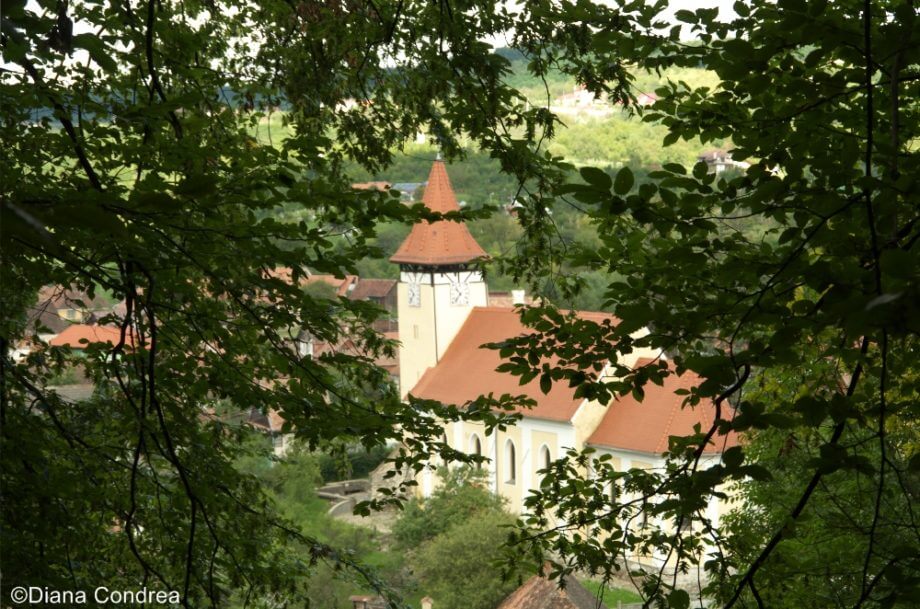 Villages in Transylvania