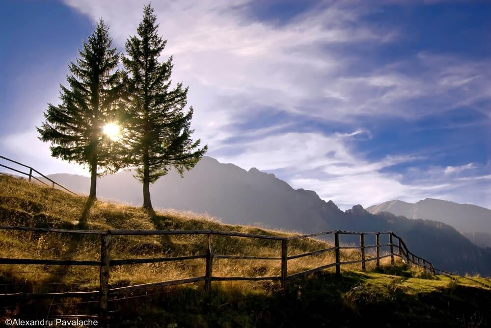 bucegi mountains
