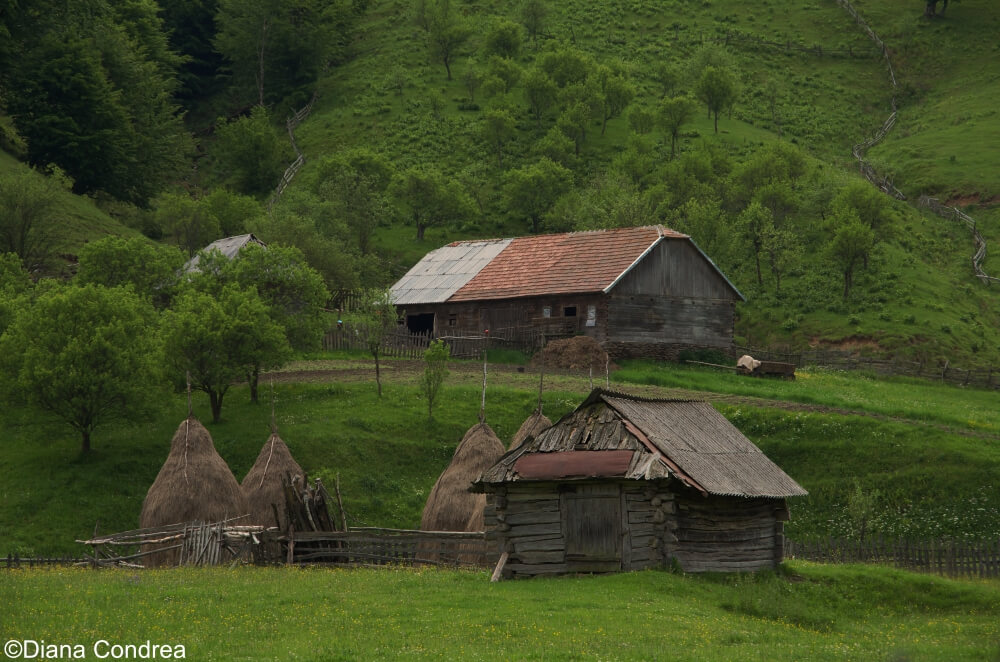 Sureanu Mountains: Magical Wilderness and Holy Dacian Sites